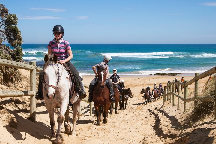 a person riding a horse on a beach