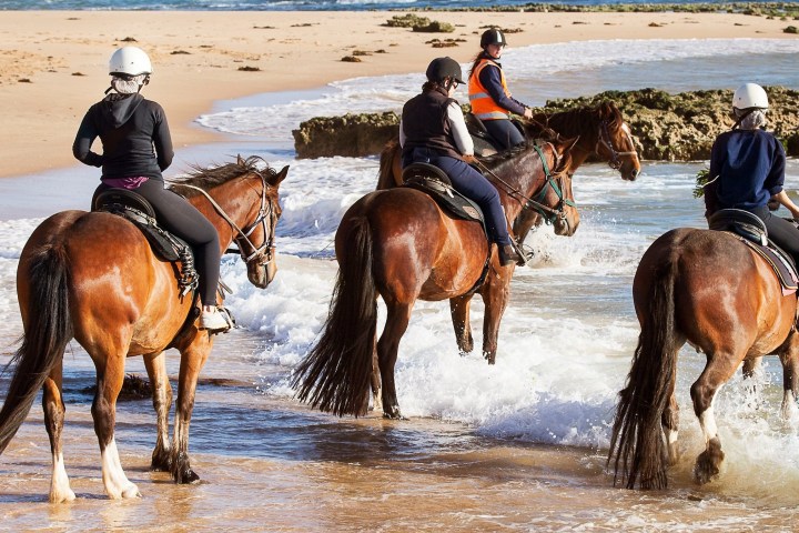 a group of people riding horses on a beach
