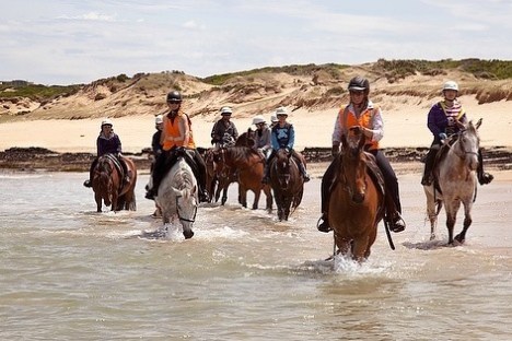 a group of people riding a horse in a body of water