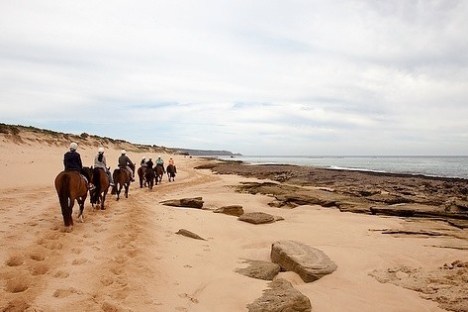 a group of people walking on a sandy beach