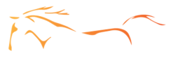 Gunnamatta Trail Rides