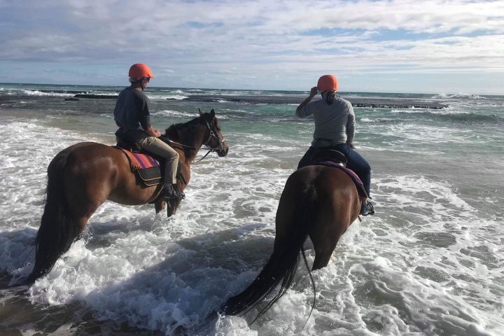 a person riding a horse in a body of water