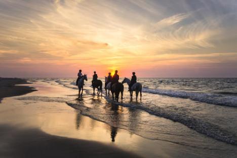 a group of people walking on a beach