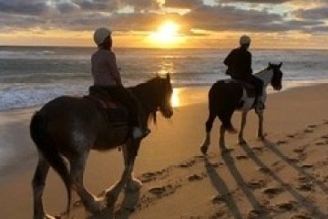 a person riding a horse on a beach