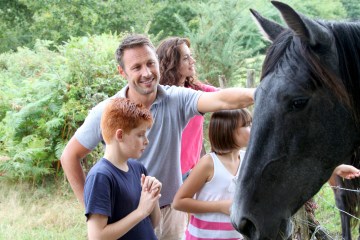 a person petting a brown horse standing next to a fence