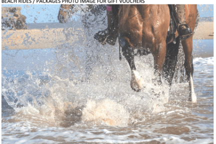 a person riding a horse in a body of water