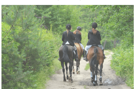 a man riding a horse on a dirt road