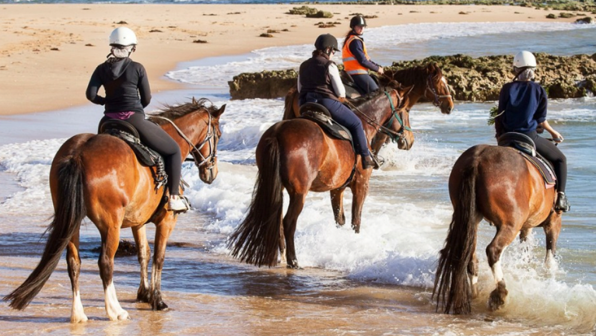 a group of people riding horses on a beach
