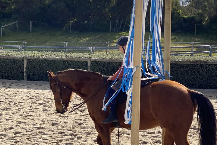 a brown horse standing next to a fence
